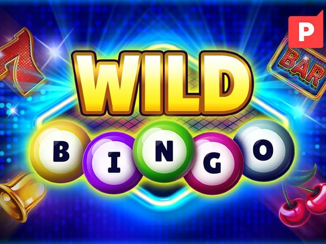 biwin bet Bingo Selvagem